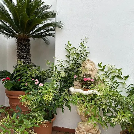 卡里托公园酒店 3* Forio di Ischia