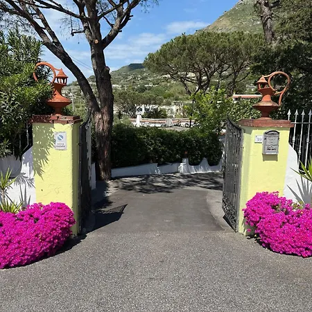 卡里托公园酒店 酒店 Forio di Ischia