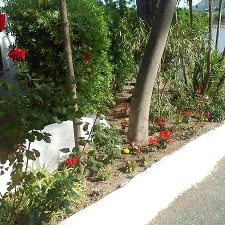 卡里托公园酒店 Forio di Ischia